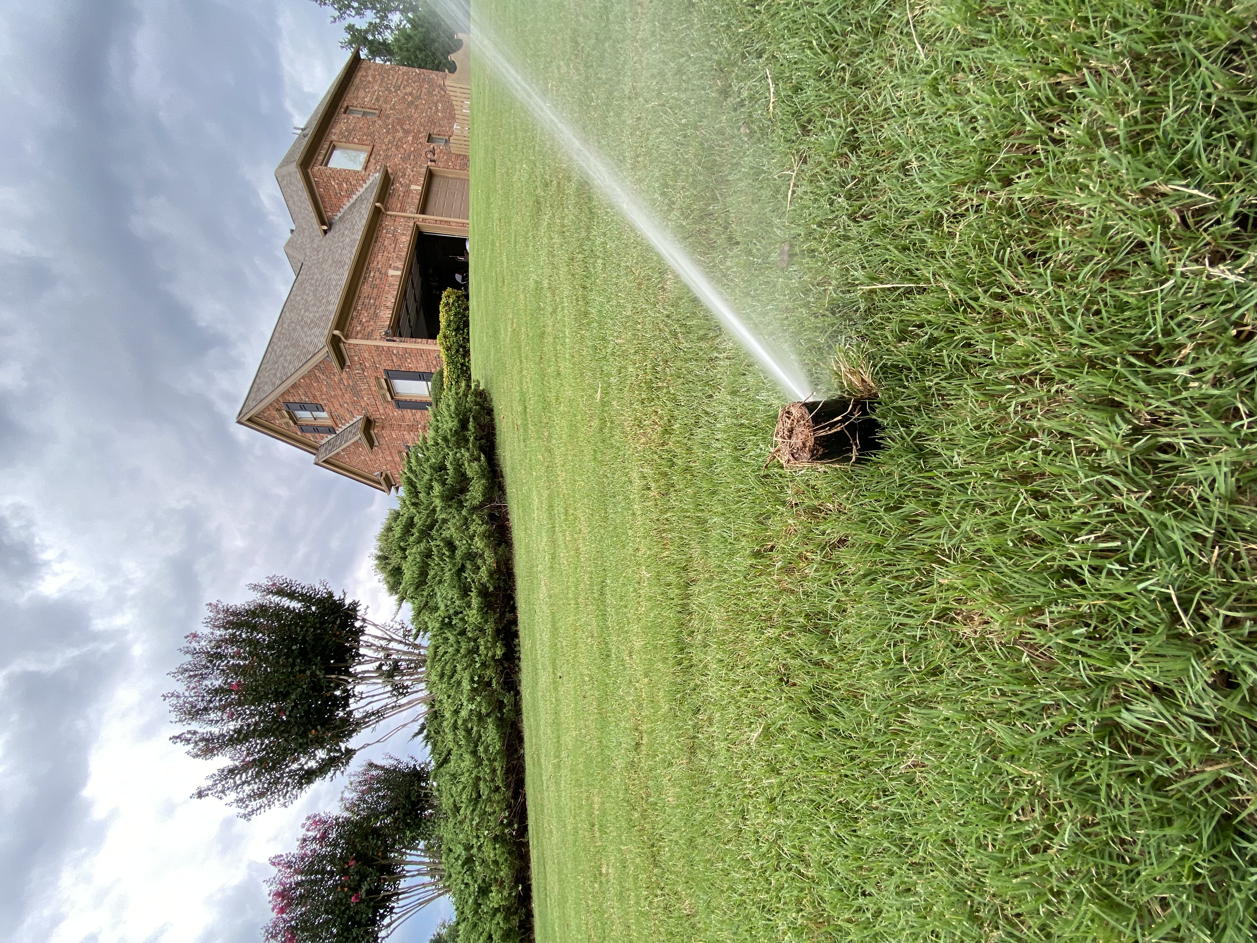 Sprinkler System